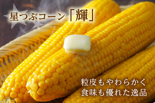 星つぶコーン「輝」