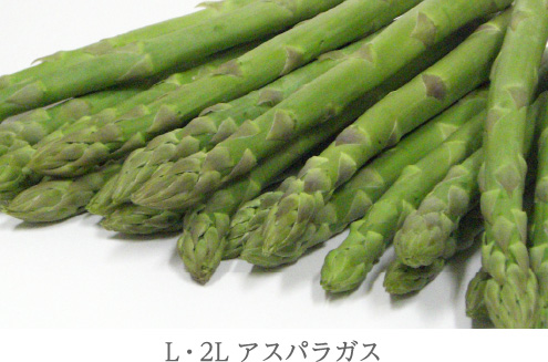 L・2Lアスパラガス
